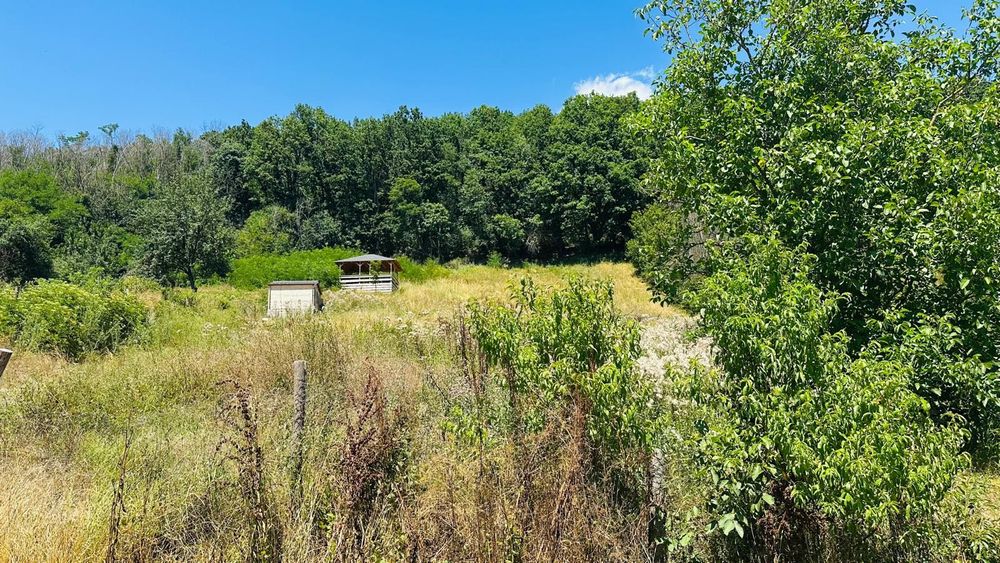 Teren de vânzare Stefanesti- Enculesti/Ploscaru Argeș