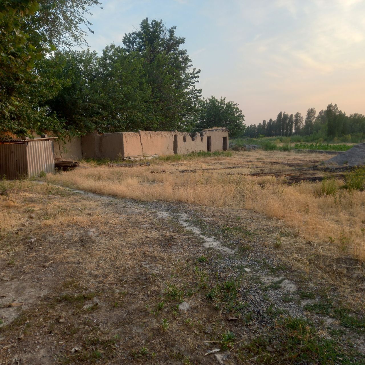 Nazarbek tarnovda yer sotiladi