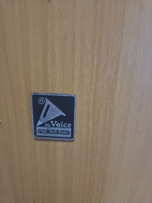 Vând set boxe podea