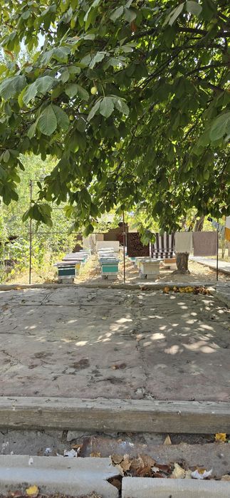 Продам 8 сот Землия для Дачы Октош Сойлик Кфй Центрь Базара