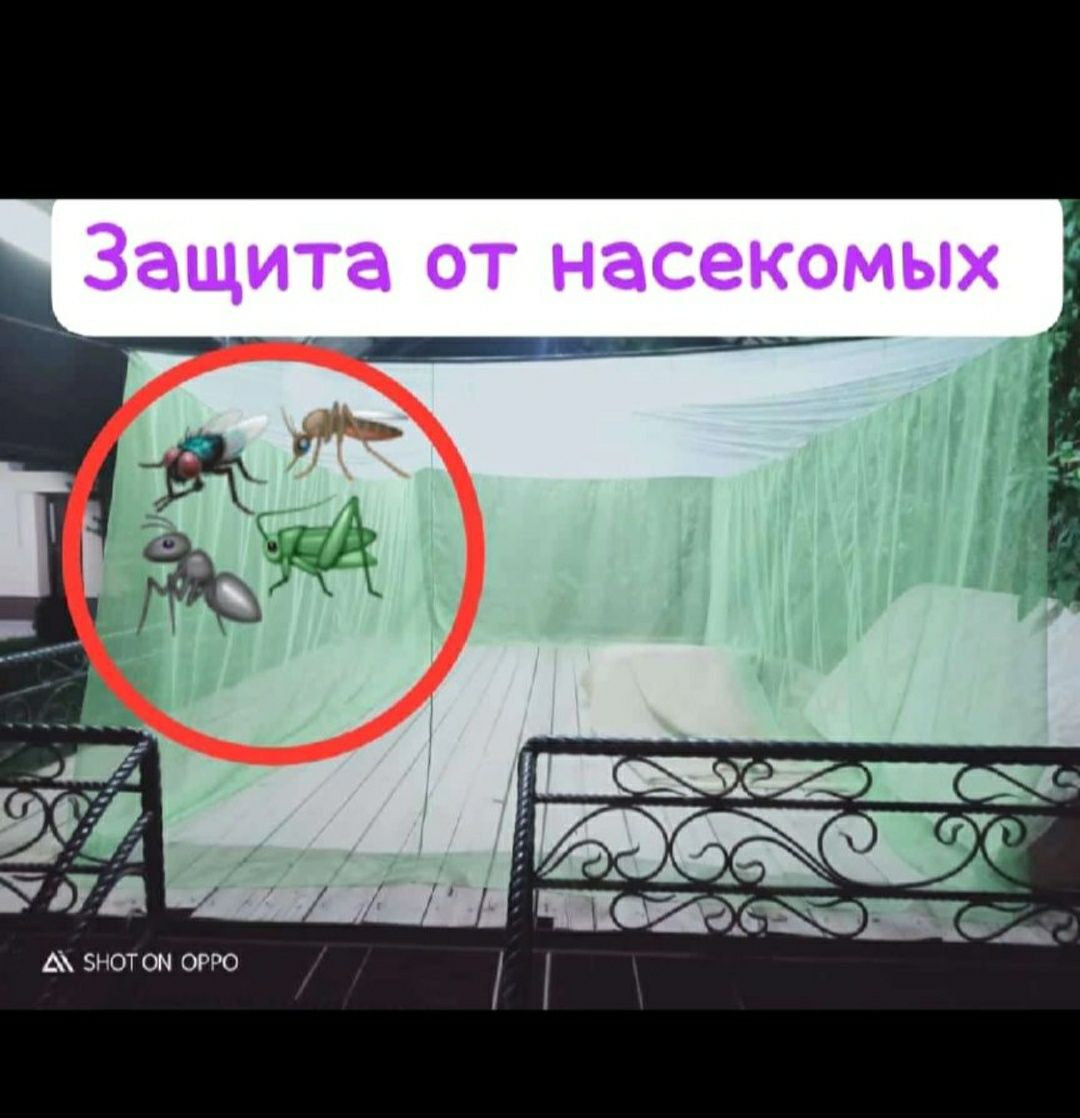 Масахана Шымкент