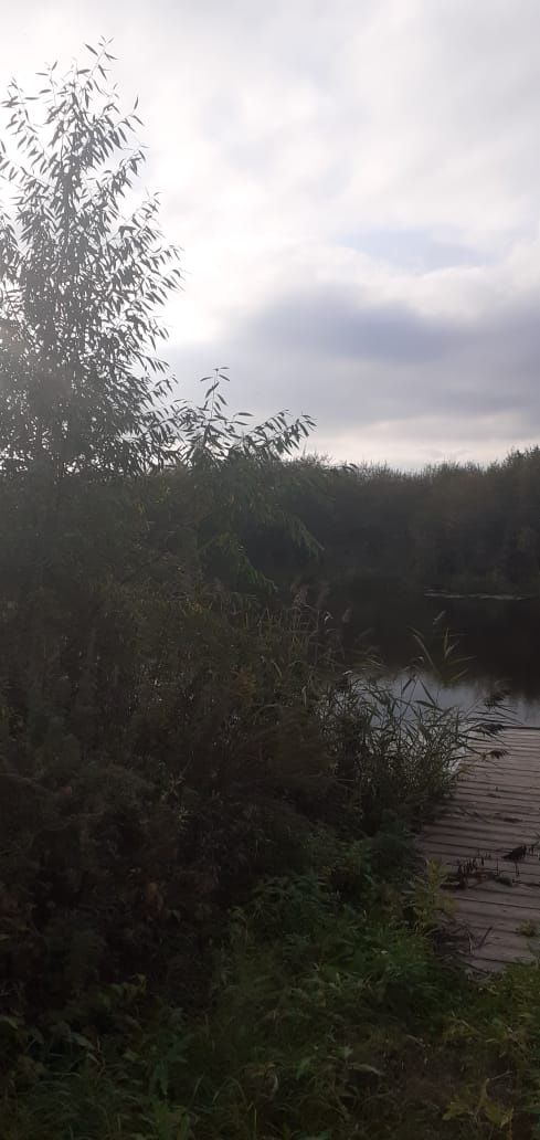 Продам дачу в обществе (Элегия) Хромзавод