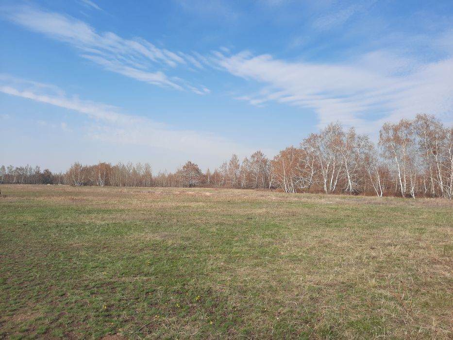 Участок у леса 55 соток, Аккаин (малотимофеевка)срочно!