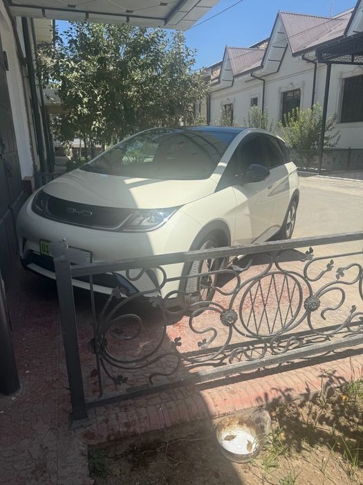 BYD Delphine  elektro kar дельфин