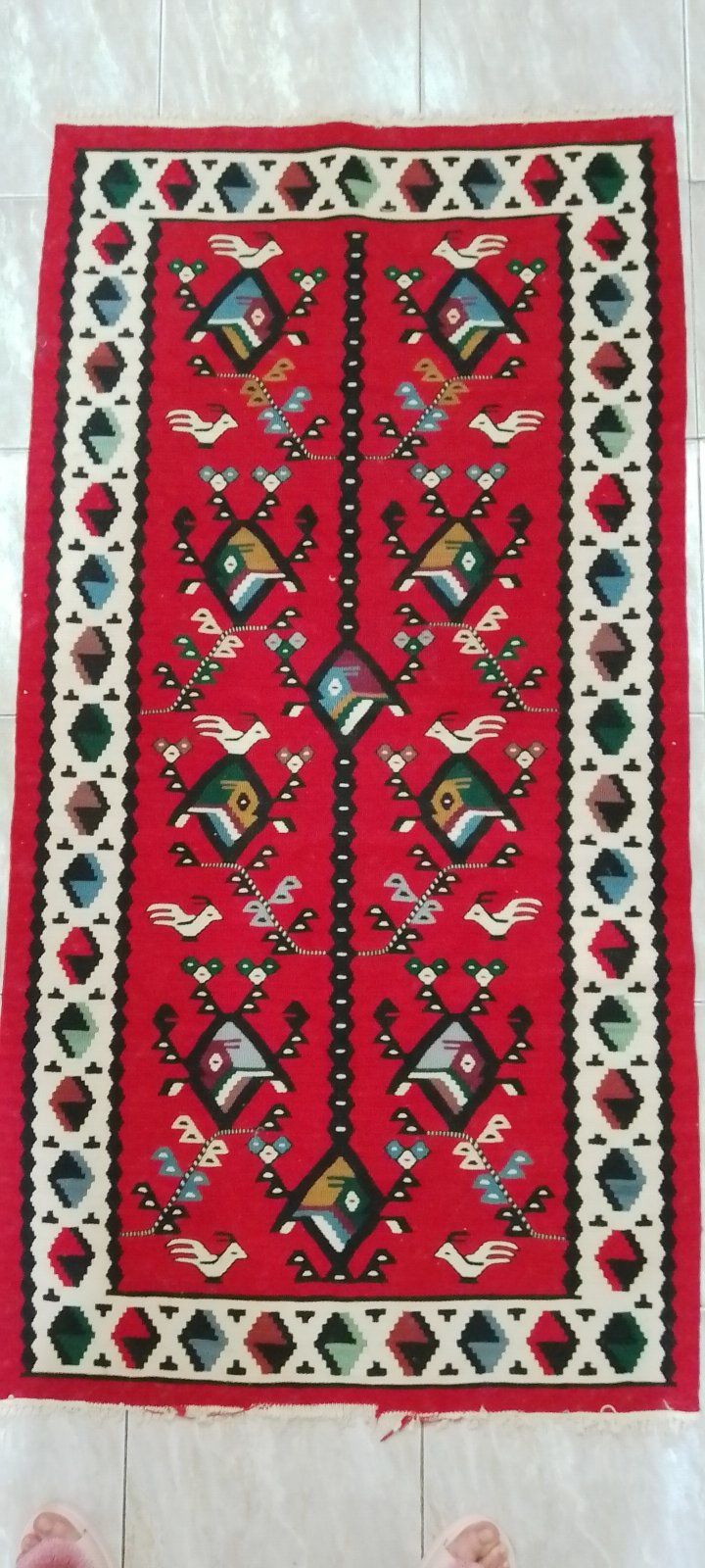 Чипровска Пътечка