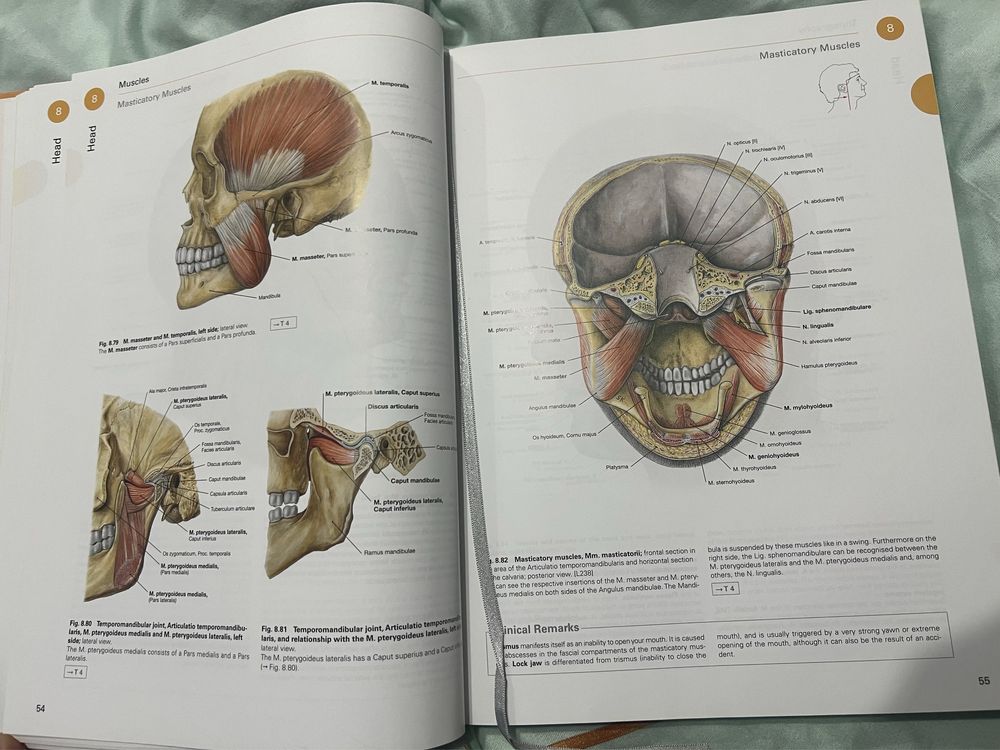 Vand Atlas de Anatomie Sobotta Cap si Gat