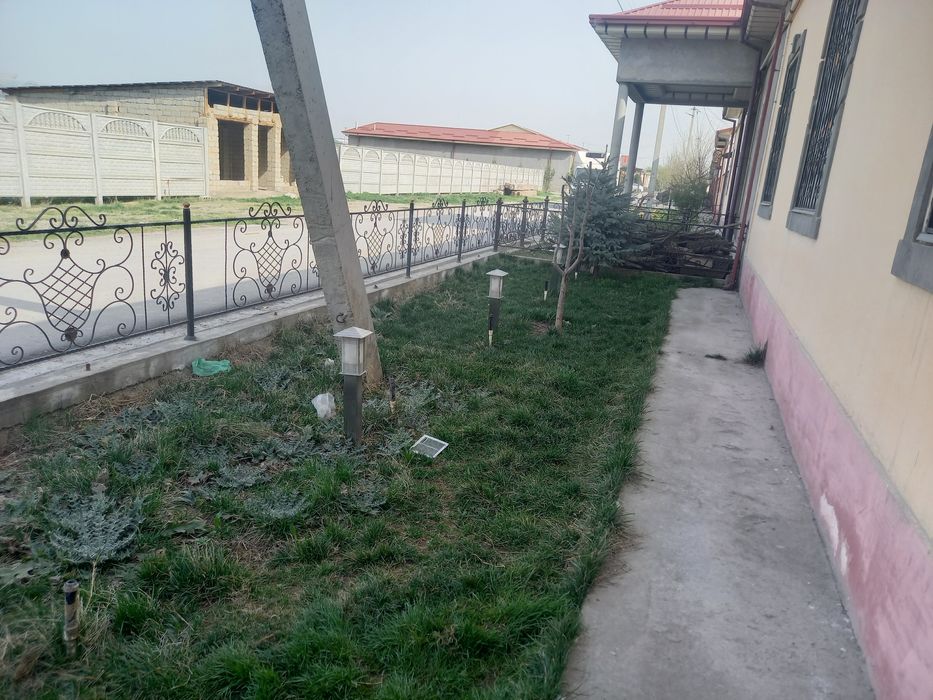 Таййор Котеж 6 сотихли