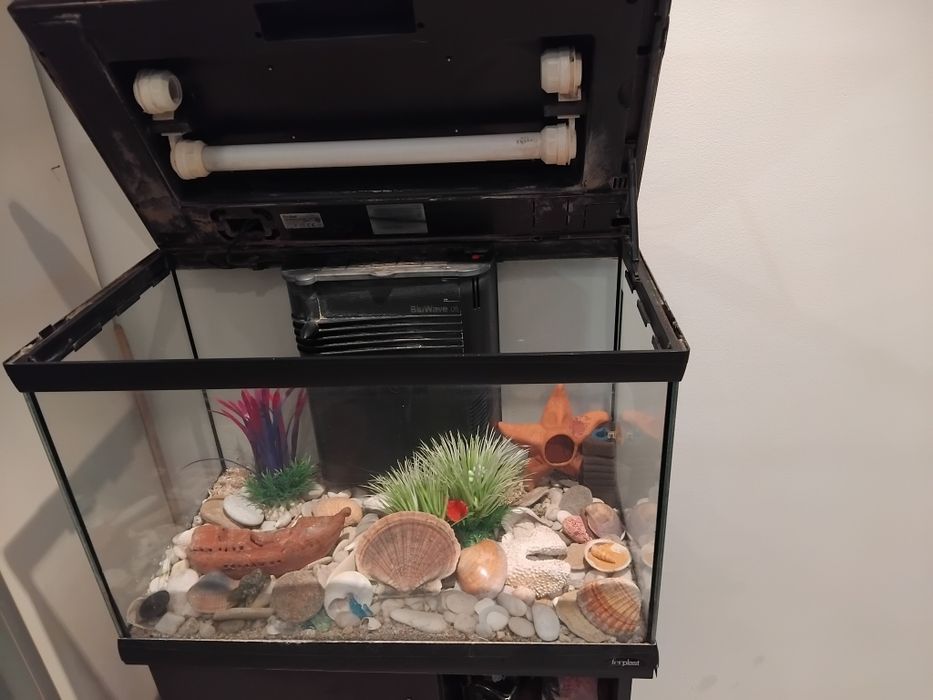 Аквариум за рибки