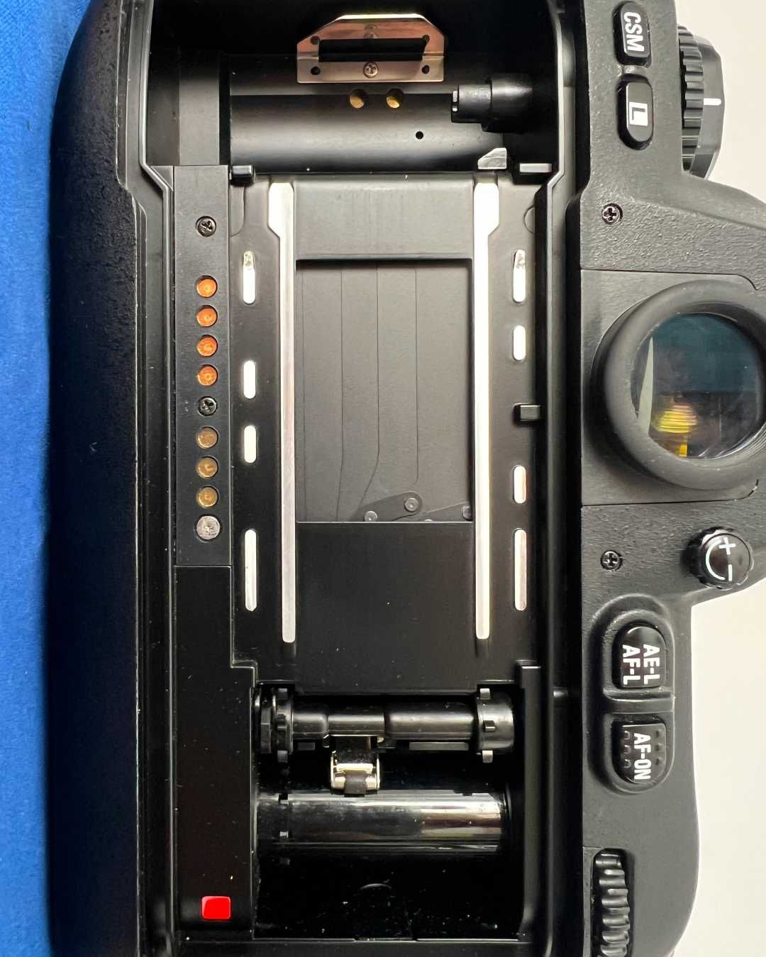Nikon F100 + Obiectiv Nikkor AF-D 50mm f/1.8