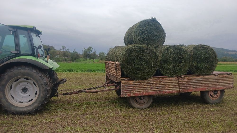 Siloz lucerna coasa 4 infoliati 125x120