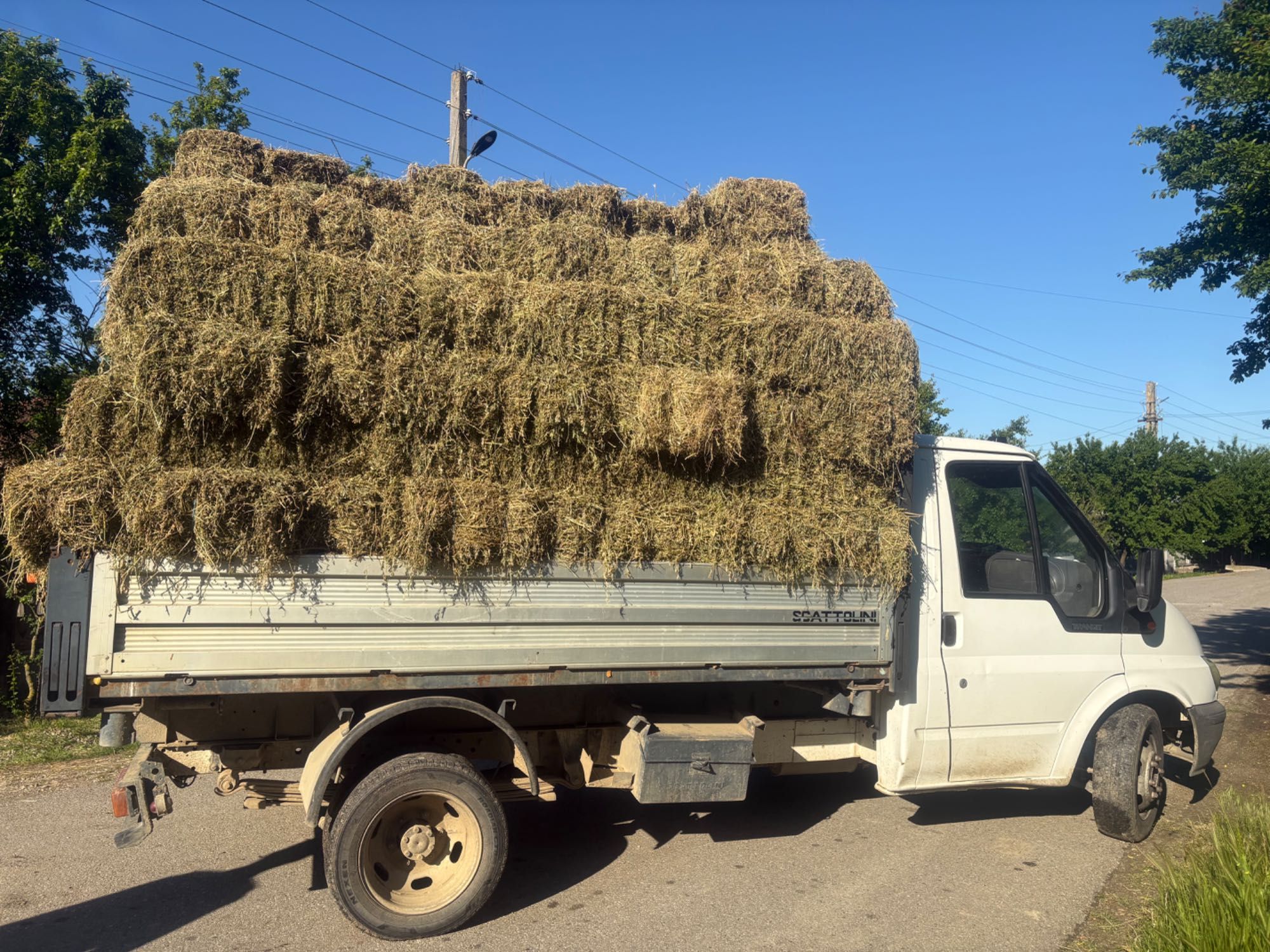 Baloți de lucernă