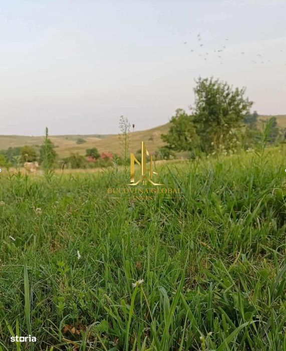 Teren de vânzare în Ilișești -3000 mp, preț avantajos!