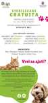 Castrare / sterilizare GRATUITA pentru catei si pisici