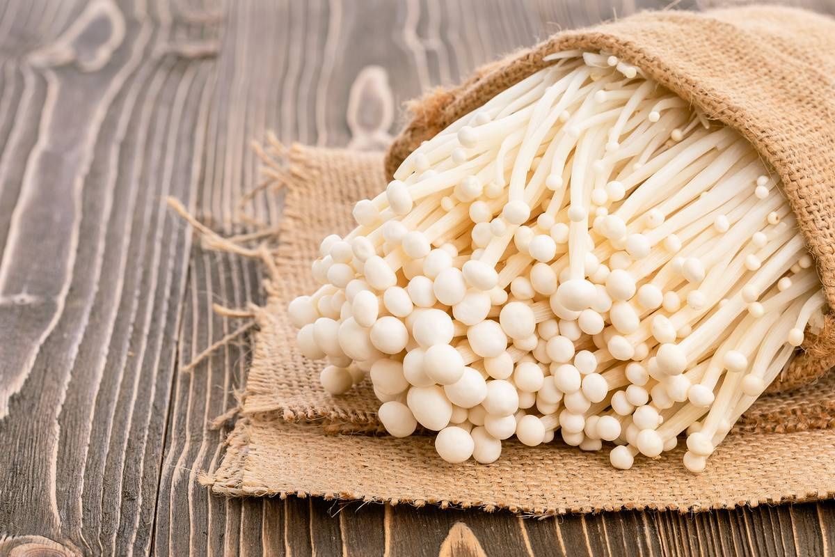 Продам прибыльный бизнес  c обучением по выращиванию  грибов ЭНОКИ.