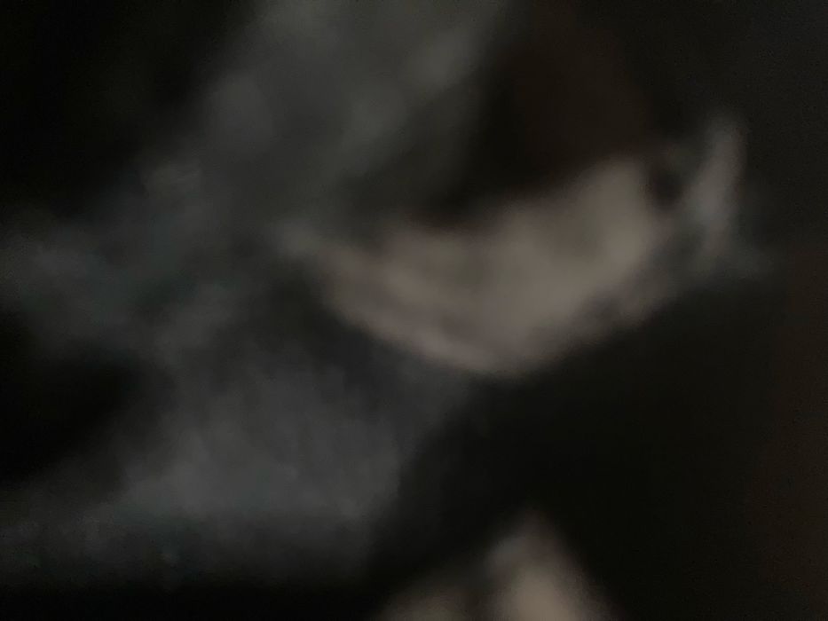 Nike Airforce 1 negri