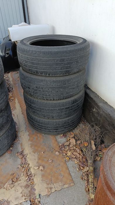 Резина летняя Dunlop.