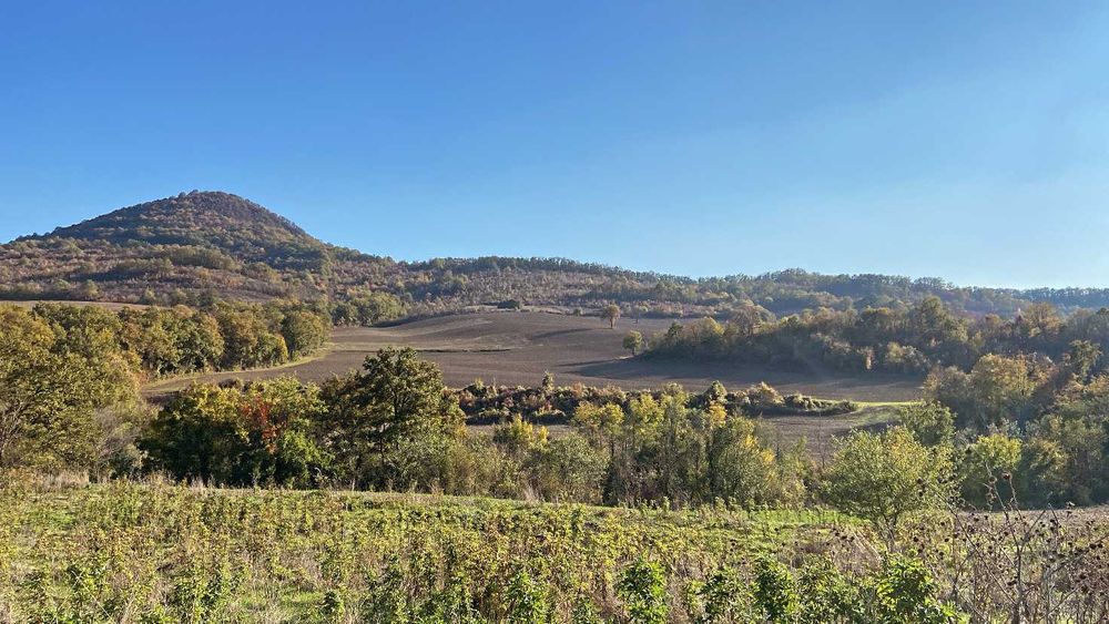 5 Декара Земеделска земя Рента 100 лева