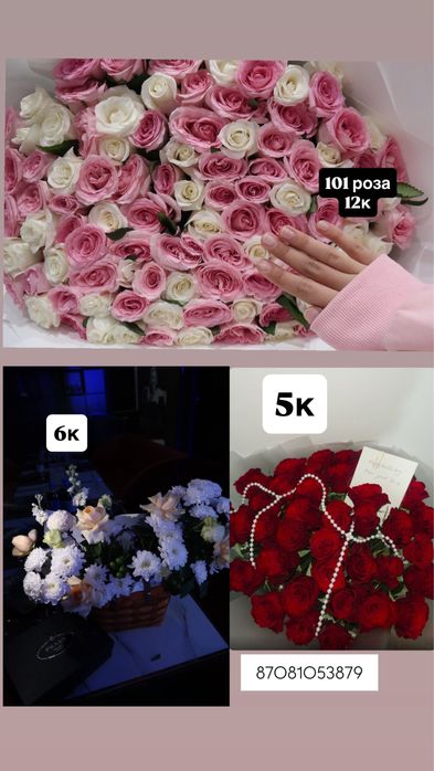Цветы шымкент.