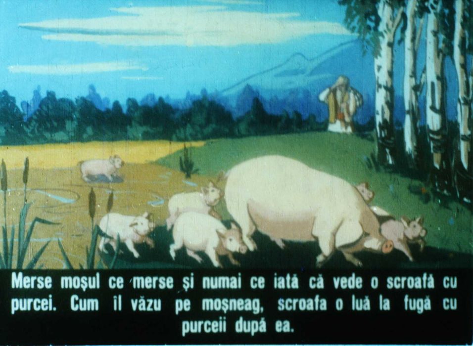 DIAFILME cu povești și educative transpuse digital (340)