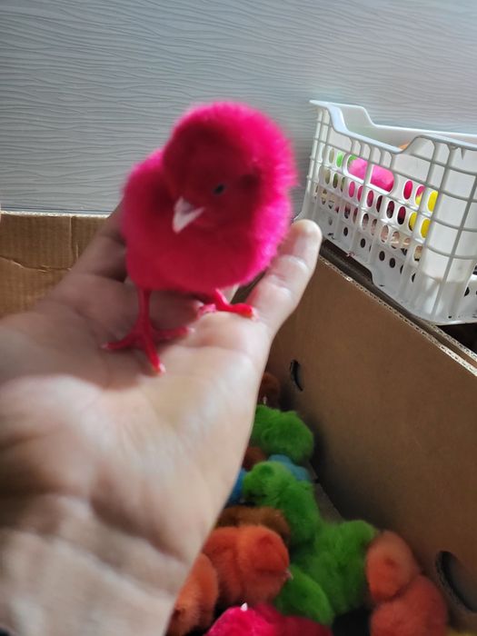 Har hill bor tel doimo yoniq.