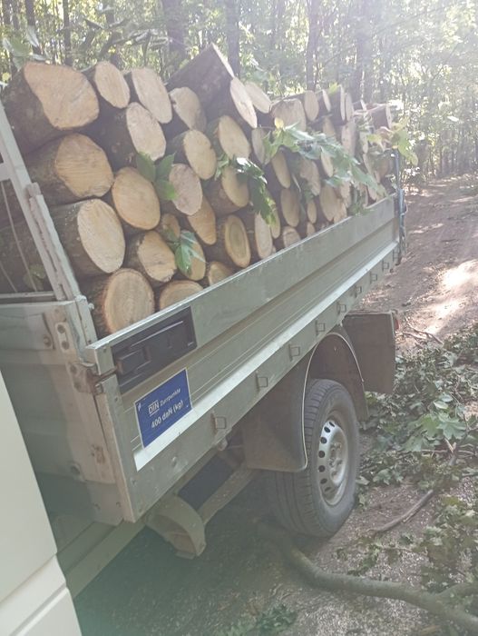 Lemne de foc carpăn frasan stejar