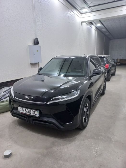 BYD yuan up full 2024 qora