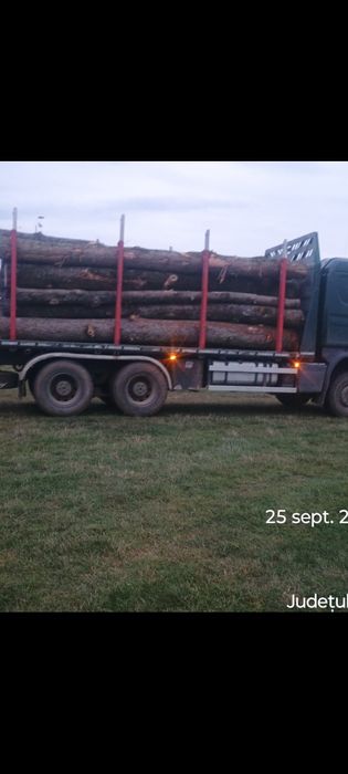 Lemn de foc Simeria 350 adus acasă