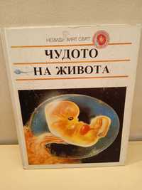 Детска книга,,Невидимия свят-Чудото на живота,,твърда корица.