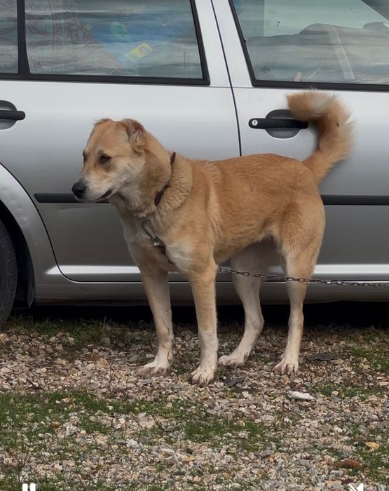 Свободна женска на 11 месеца
