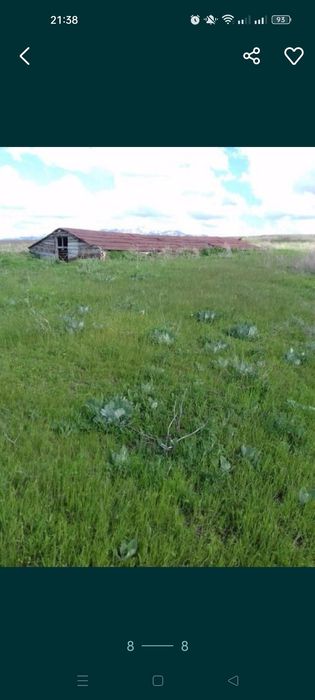 Продам сельское хозяйство