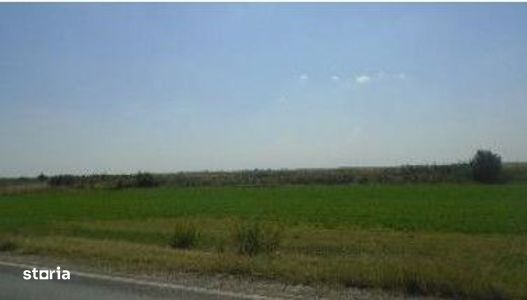 Teren cota parte 1/6, Branistea, ID: R2757177