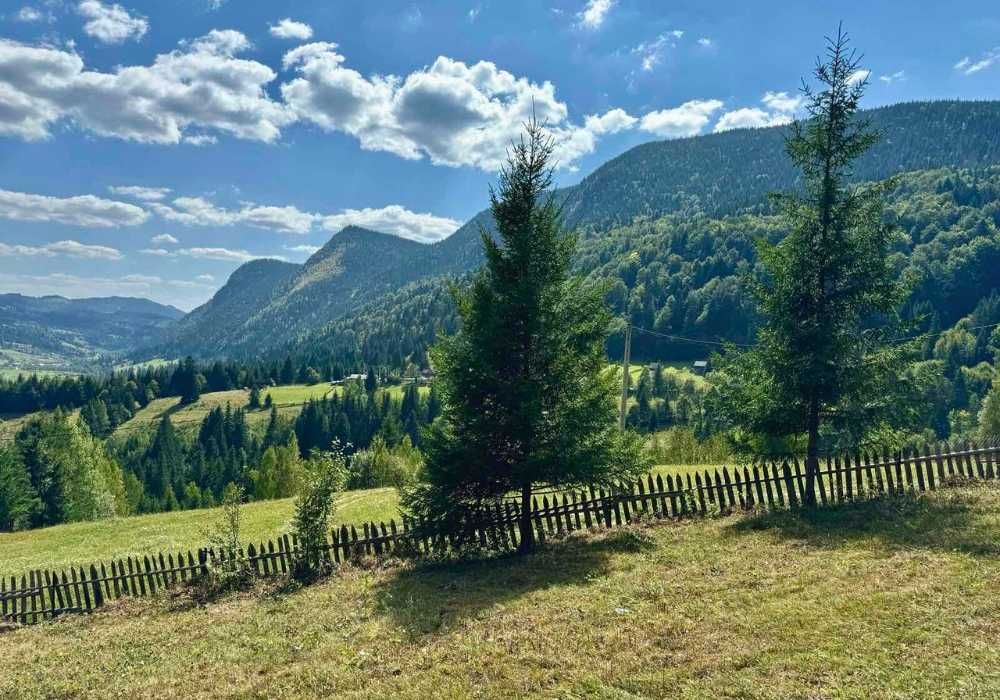 Teren la Munte, Cheile Bicazului, cu vedere panoramică