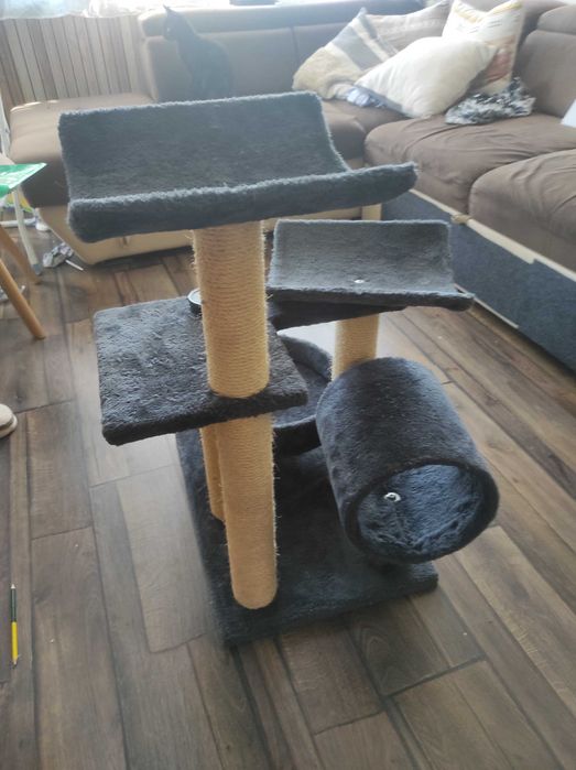 Котешка катерушка