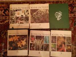 Энциклопедия Жизнь растений 6 томов