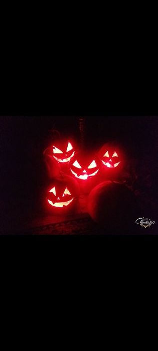 Тыква Qovoq Pumpkin