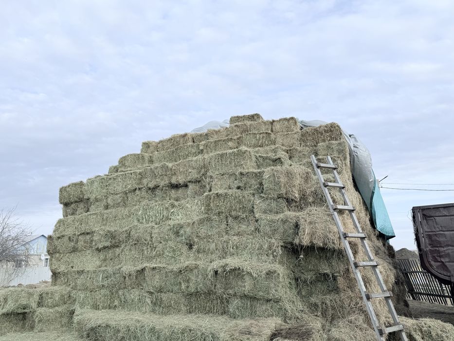 Продам сено в тюках