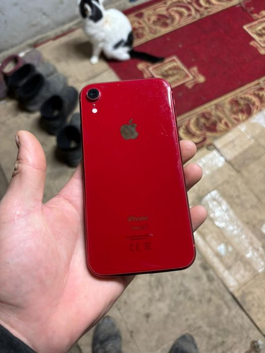 Iphone XR / 64 GB