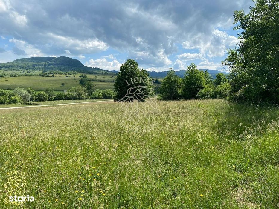 Teren 6500 mp-Lac-vedere panoramica-ideal cabana-Cusma