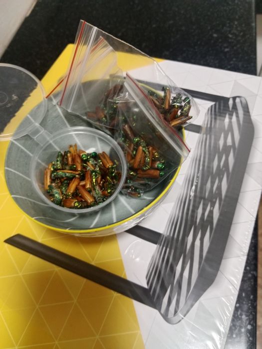 Алтын коныз Майски жук Золотой жук