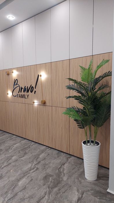 Акция Пальма+Кашпо+мраморная галька! Искусственные растения, деревья