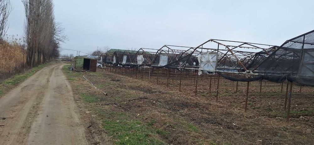 Сирдарё вилояти Сирдарё тумани Малик МФЙда иссиқхона биноси