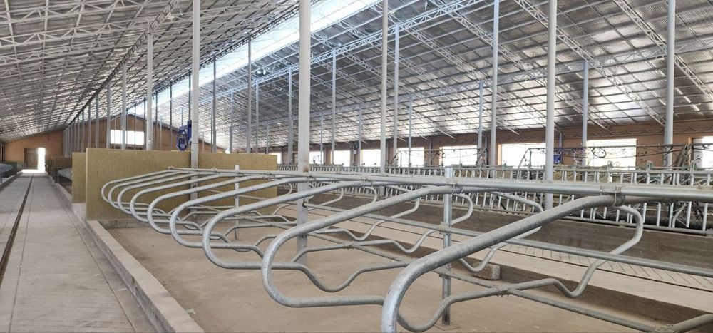 Ферма Ferma готовый бизнес в Ташкенте