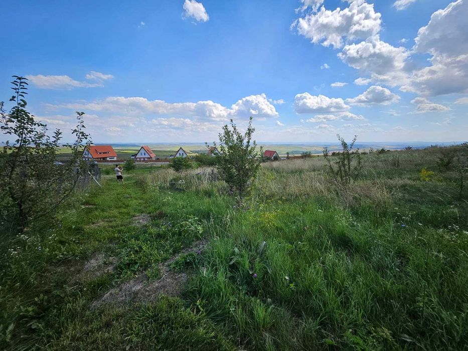 terenuri de vanzare Aiton