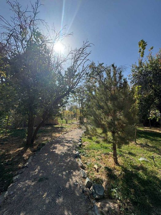 ~Офис с участком на Астрономии в Мирзо-Улугбекском районе!