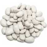 Fasole alba cultivata natural fara chimicale,17lei/kg