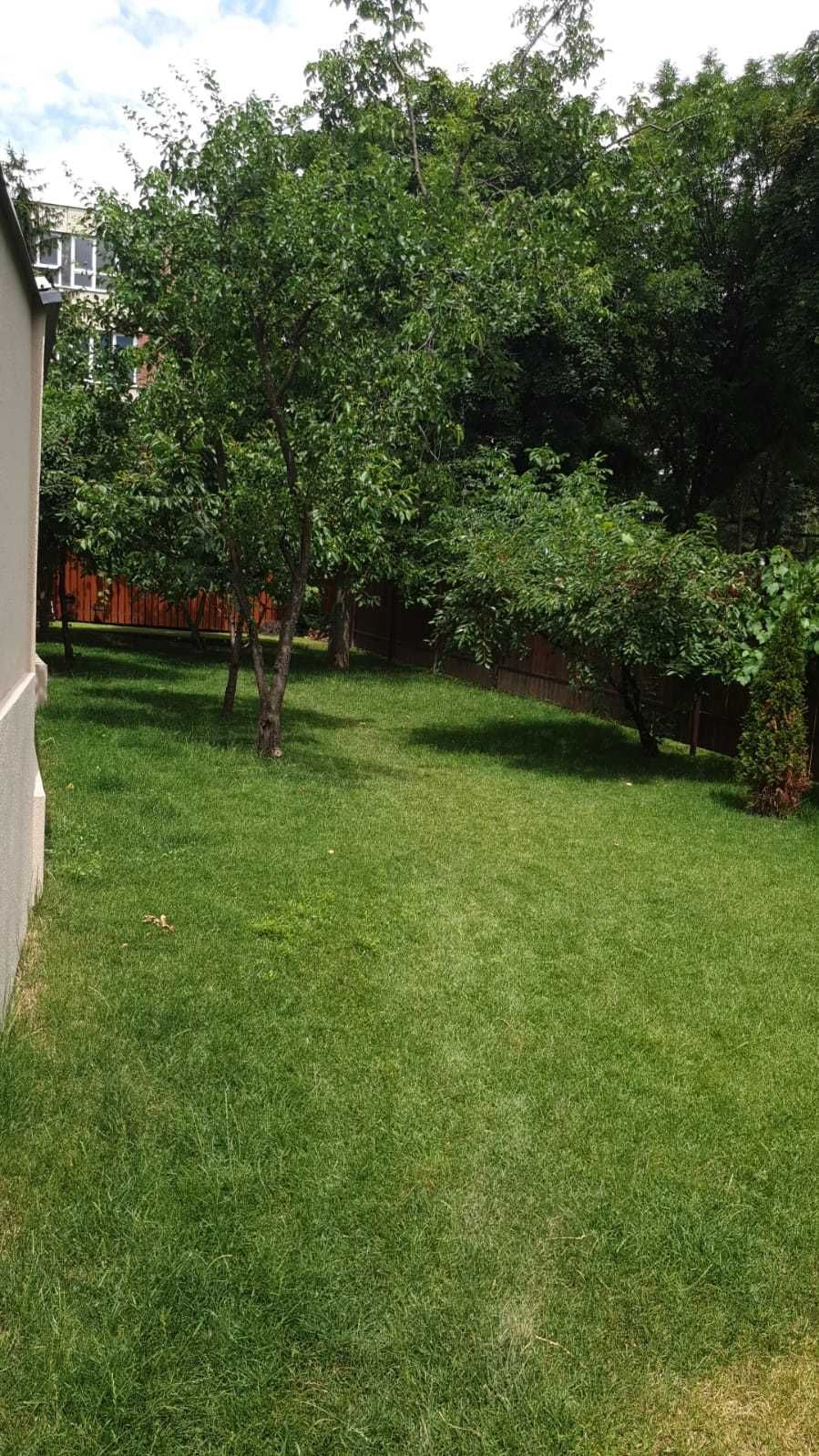 Birou open space + garaj