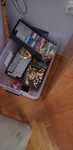 Карти one piece new