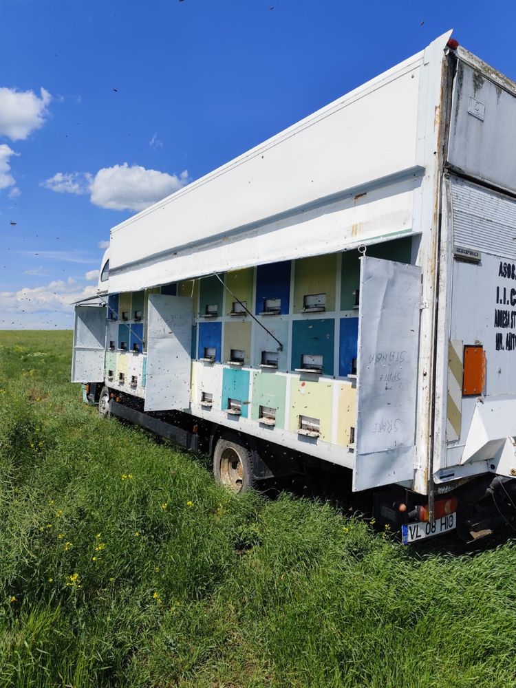 Vand la alegere camion apicol