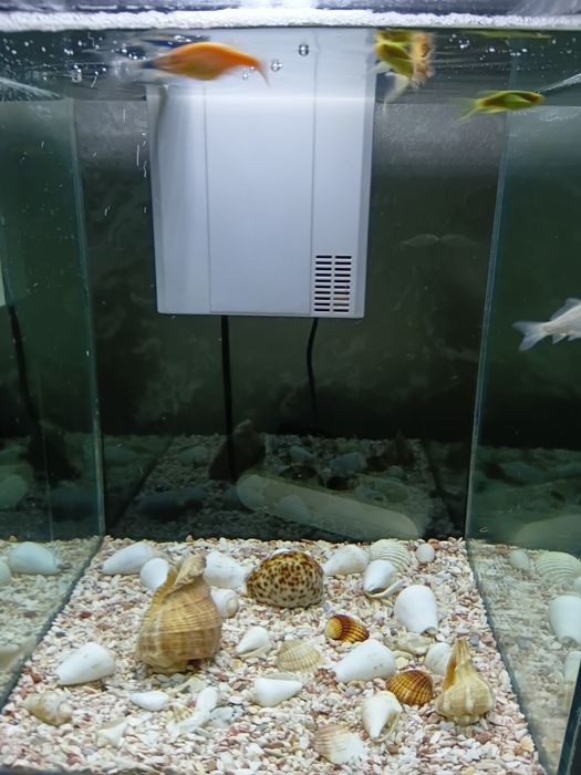 Аквариум 35 литрлик