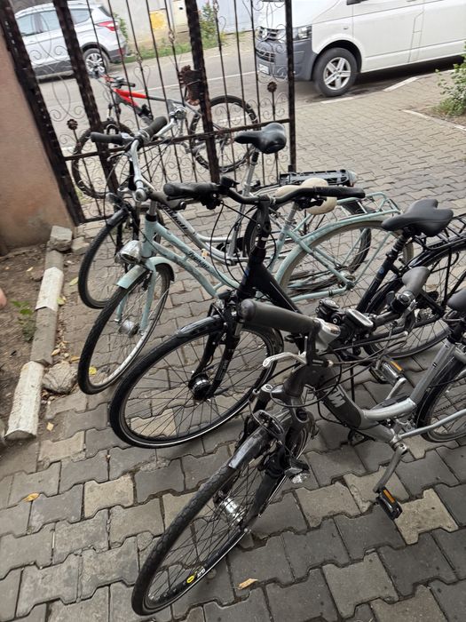 Vand Biciclete Dama mtb Cursiere normale  Germany